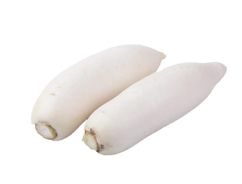 白蘿卜