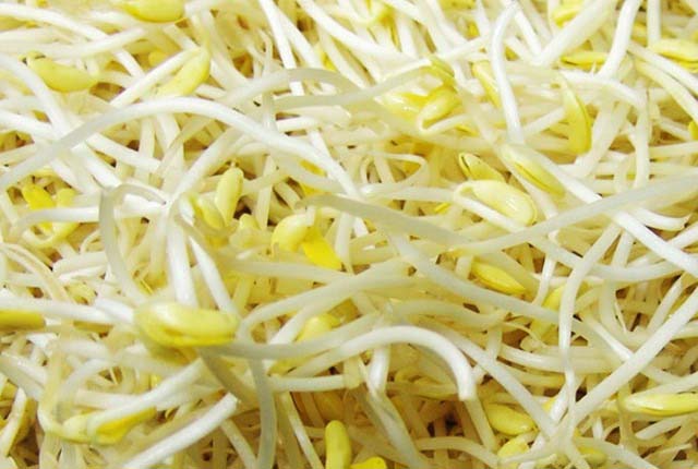 讓您嘗遍全球美味，配送食...