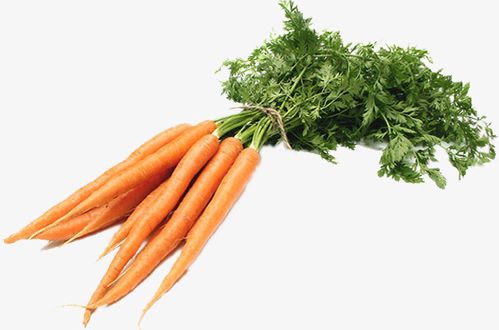 生鮮蔬菜送到你家門口，新鮮又方便！ (60 characters)