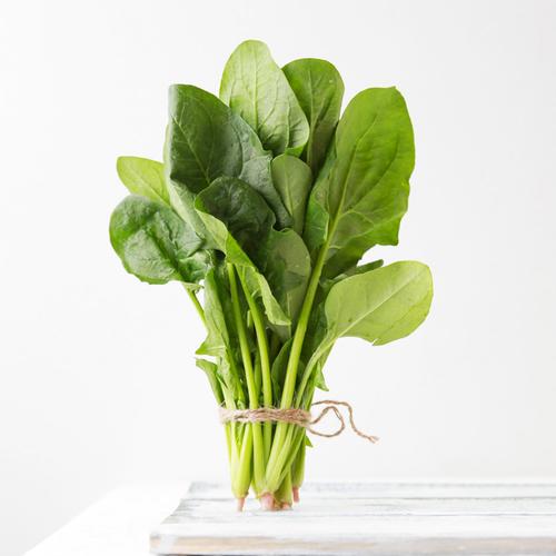 高效快速的批發蔬菜配送服...