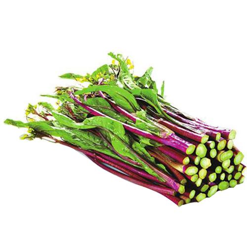 高效新鮮蔬菜配送服務，讓你輕鬆健康 (58 characters)