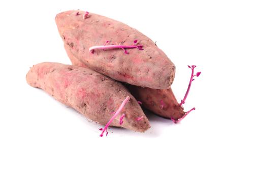 蔬菜配送價格表 2025...