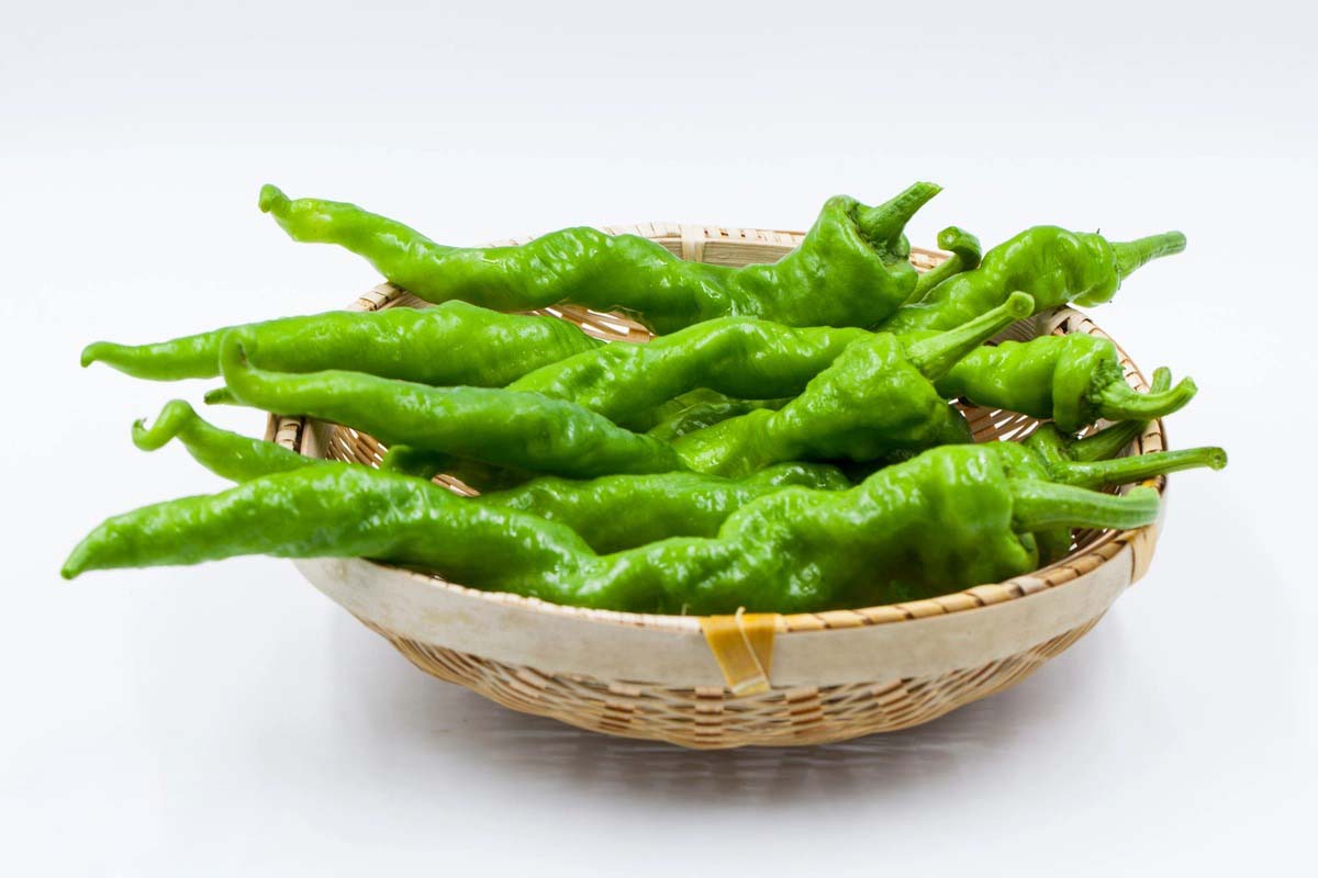 蔬菜配送價(jià)格表 2024...