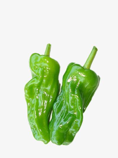 蔬菜配送價格表 2024...