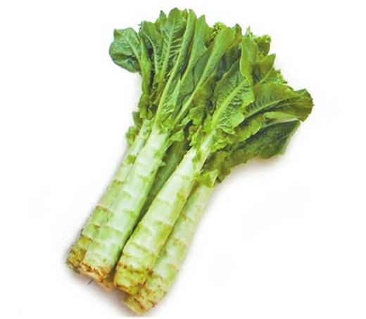 沈丘北城蔬菜配送電話