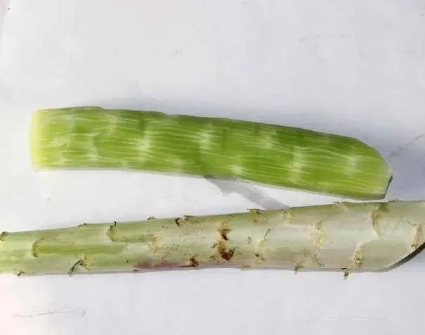 公明酒店蔬菜配送報價