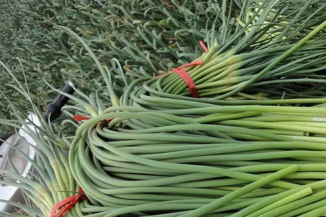 水果配送價(jià)格表 2024...