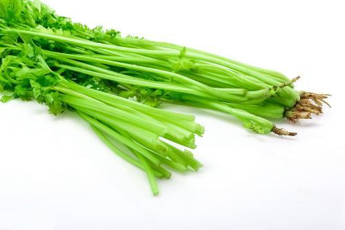 蔬菜配送摘菜賺錢嗎現在