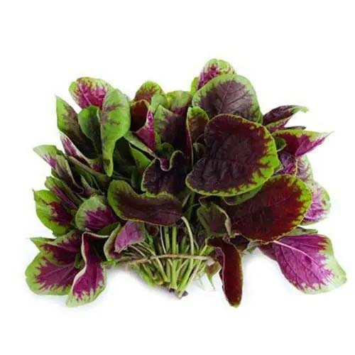 蔬菜配送合同：保障您的健...