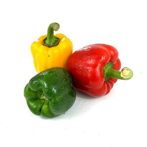 東莞市2024年第46周...