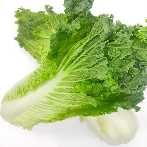 東莞市菜籃子價格監測表（...